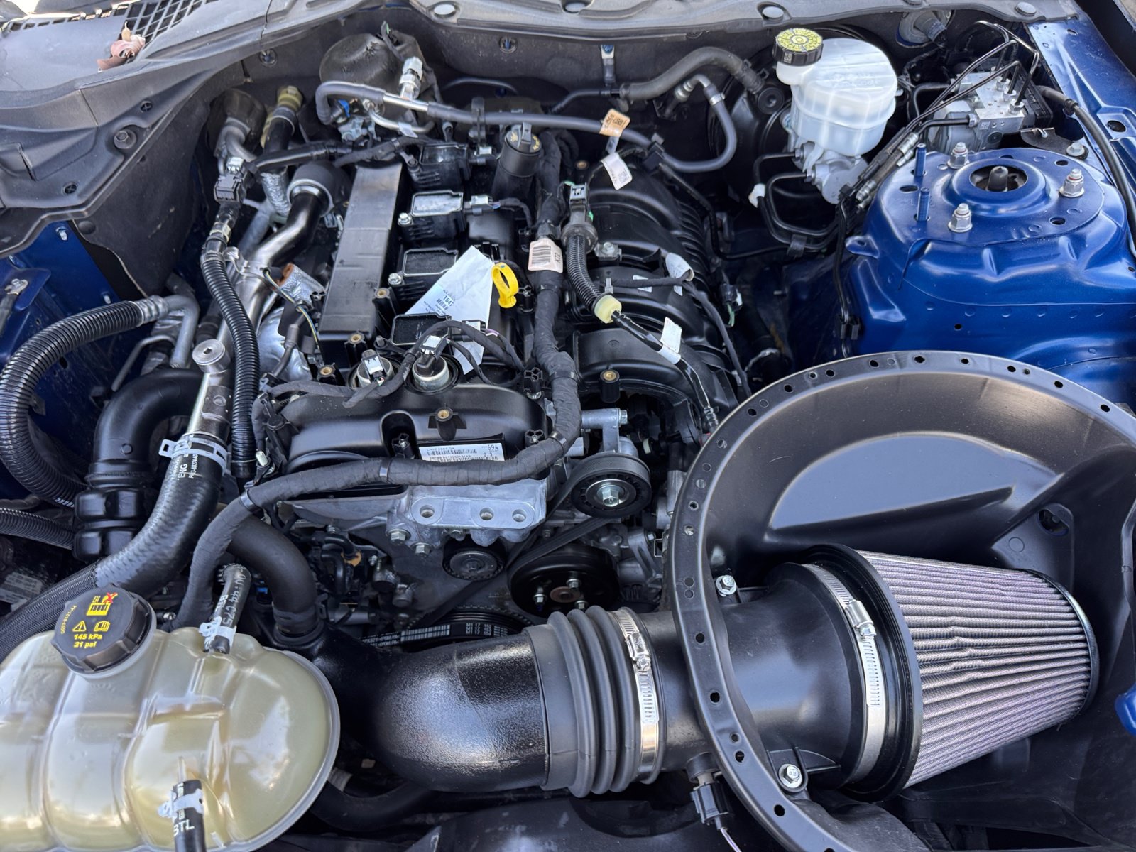Used 2022 Ford Mustang Coupe RWD image 20