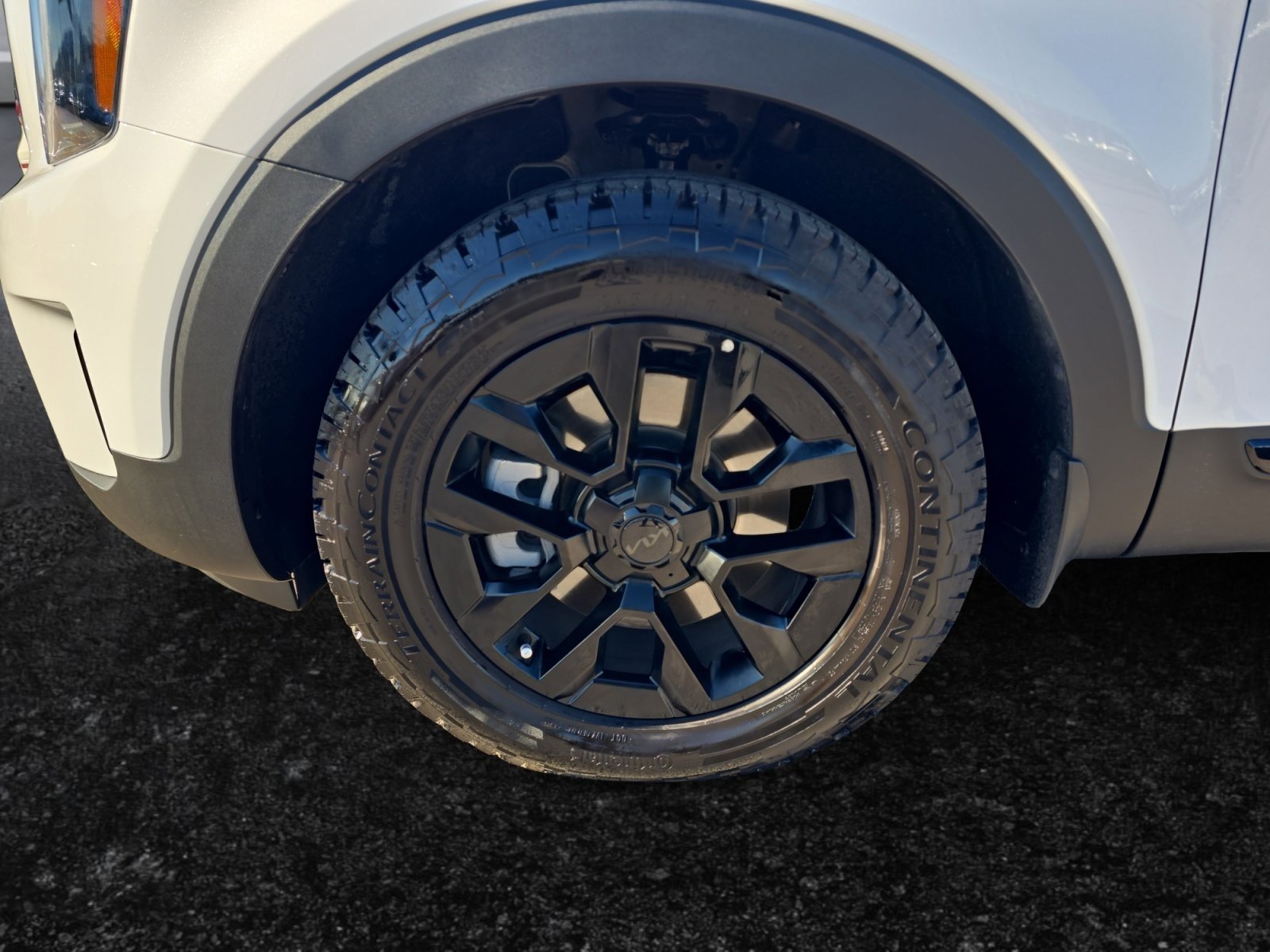 Used 2025 Kia Telluride EX X-Pro image 9