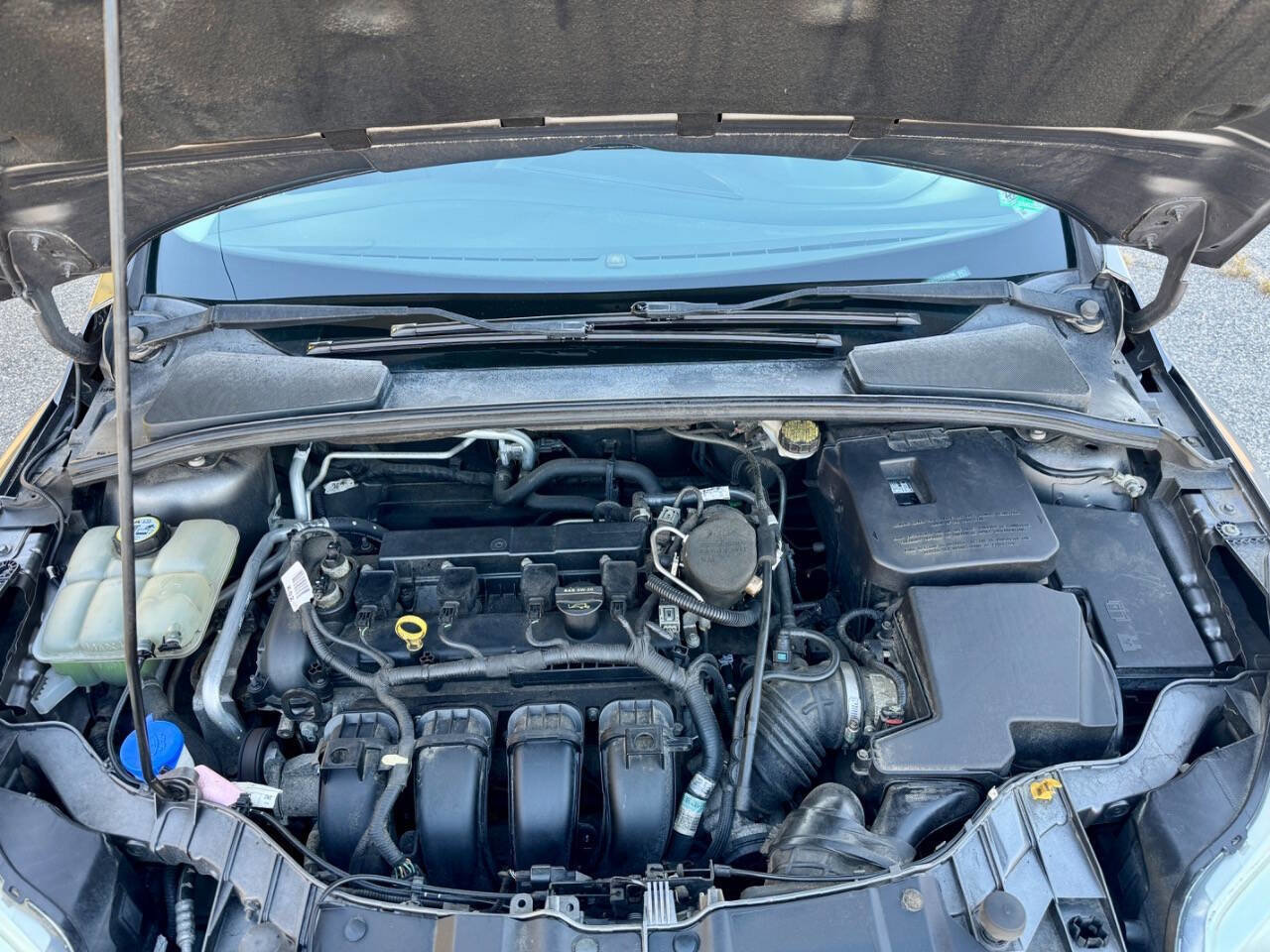 Used 2012 Ford Focus SEL image 11