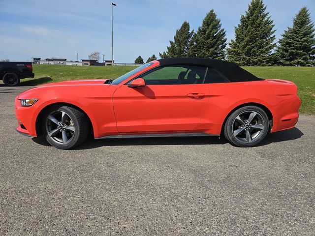 Used 2016 Ford Mustang Convertible w/ Equipment Group 051A RWD image 2