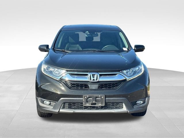 Used 2019 Honda CR-V EX-L image 8