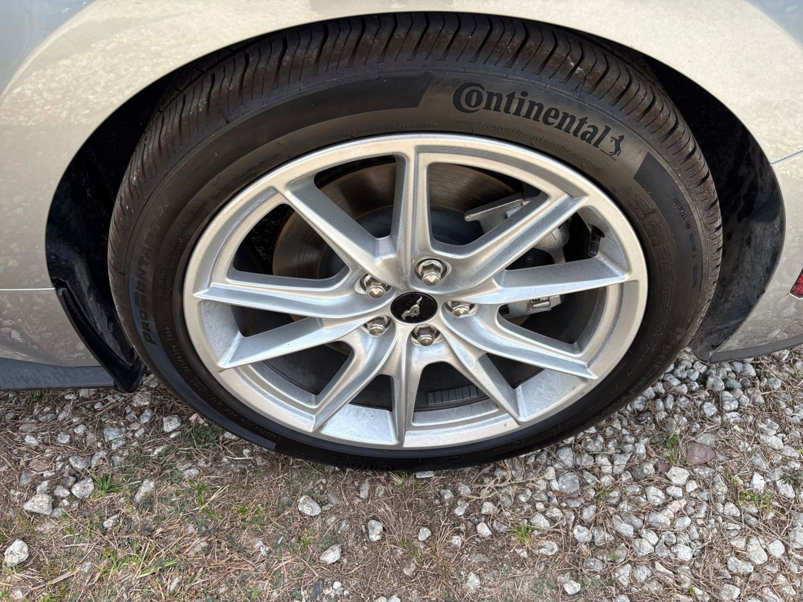 Used 2025 Ford Mustang GT Premium image 30