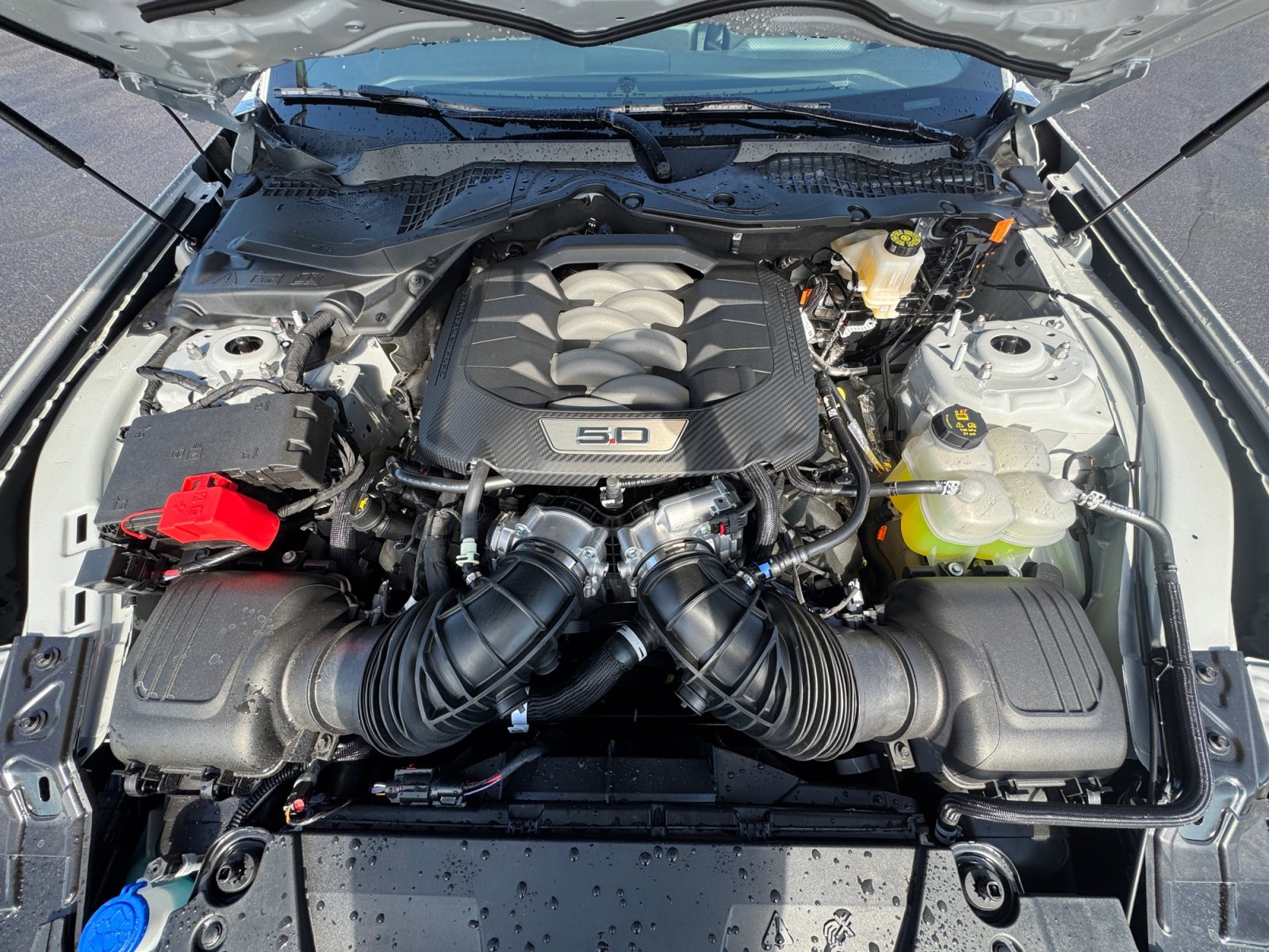 New 2026 Ford Mustang GT RWD image 33
