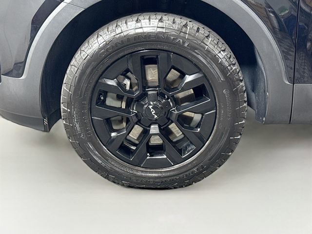 Used 2024 Kia Telluride SX Prestige X-Pro image 37