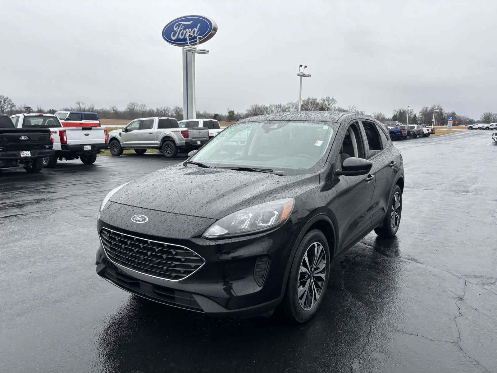 Used 2022 Ford Escape SE w/ SE Sport Appearance Package image 4