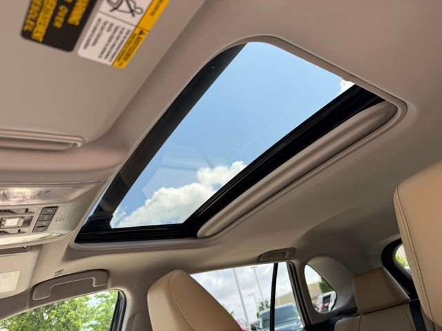 Used 2025 Toyota RAV4 XLE Premium image 15