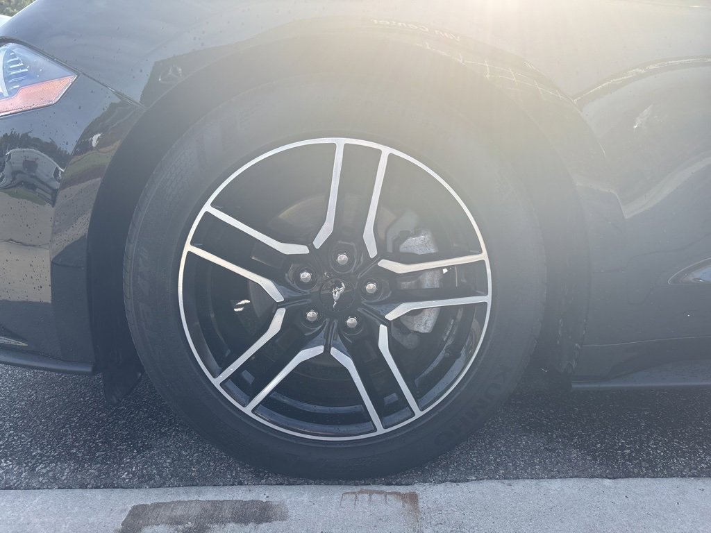 Used 2019 Ford Mustang Premium image 13