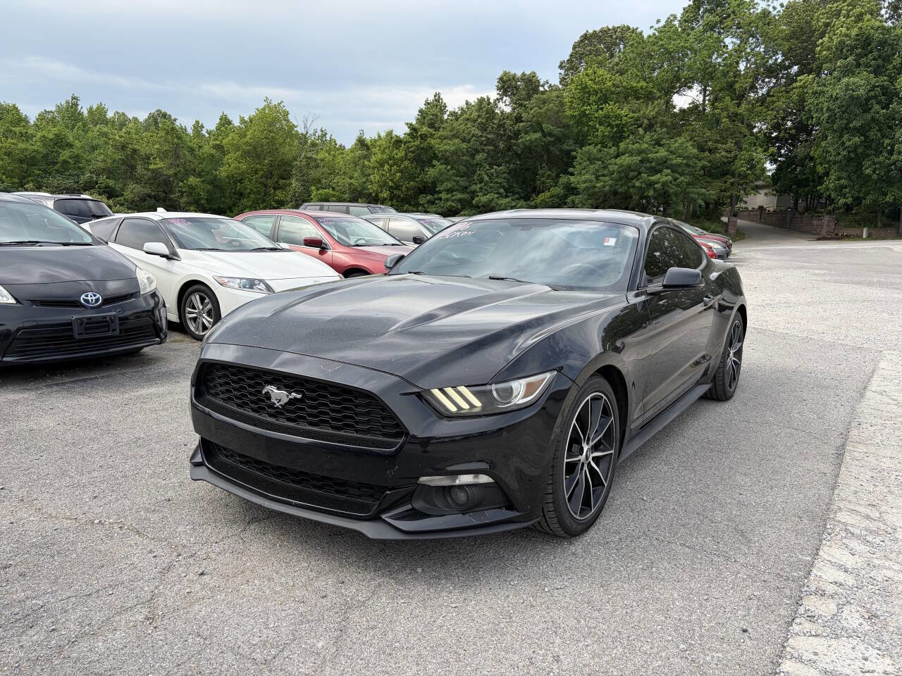 Used 2016 Ford Mustang Premium w/ Wheel & Stripe Package RWD image 11