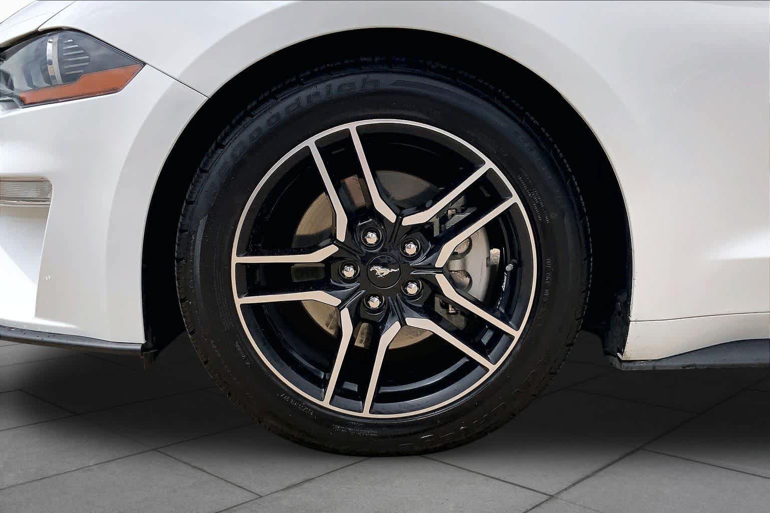 Certified 2019 Ford Mustang Premium RWD image 11