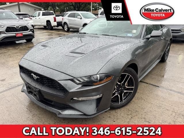 Used 2019 Ford Mustang Premium RWD image 2