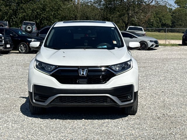 Used 2020 Honda CR-V EX-L image 2