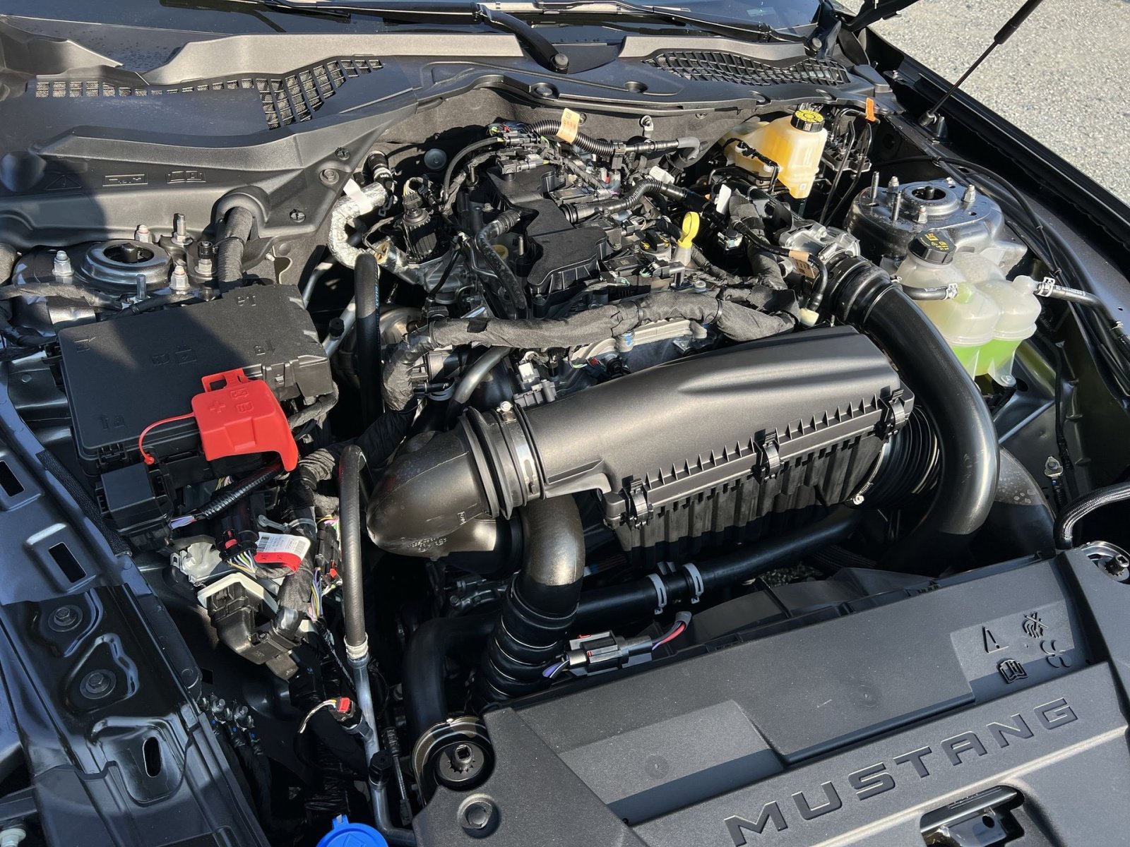 New 2026 Ford Mustang Coupe RWD image 25