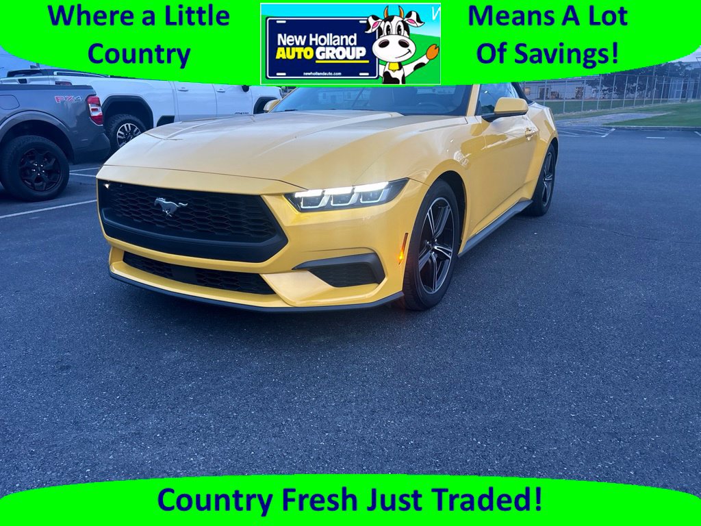 Used 2024 Ford Mustang Premium