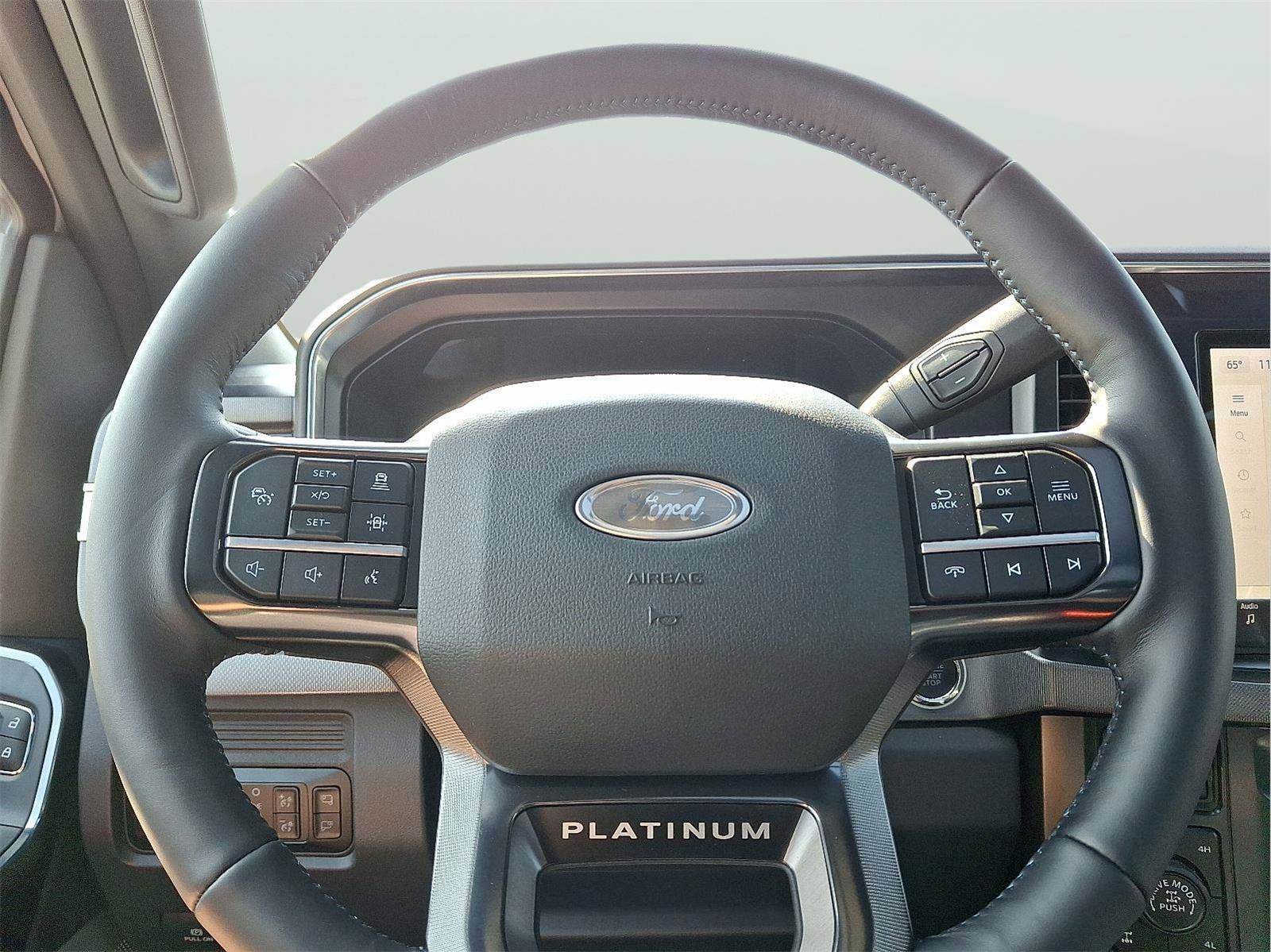 New 2026 Ford F250 Platinum w/ Tremor Off-Road Package image 14