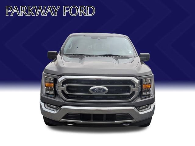 Used 2021 Ford F150 XLT w/ Equipment Group 302A High image 2