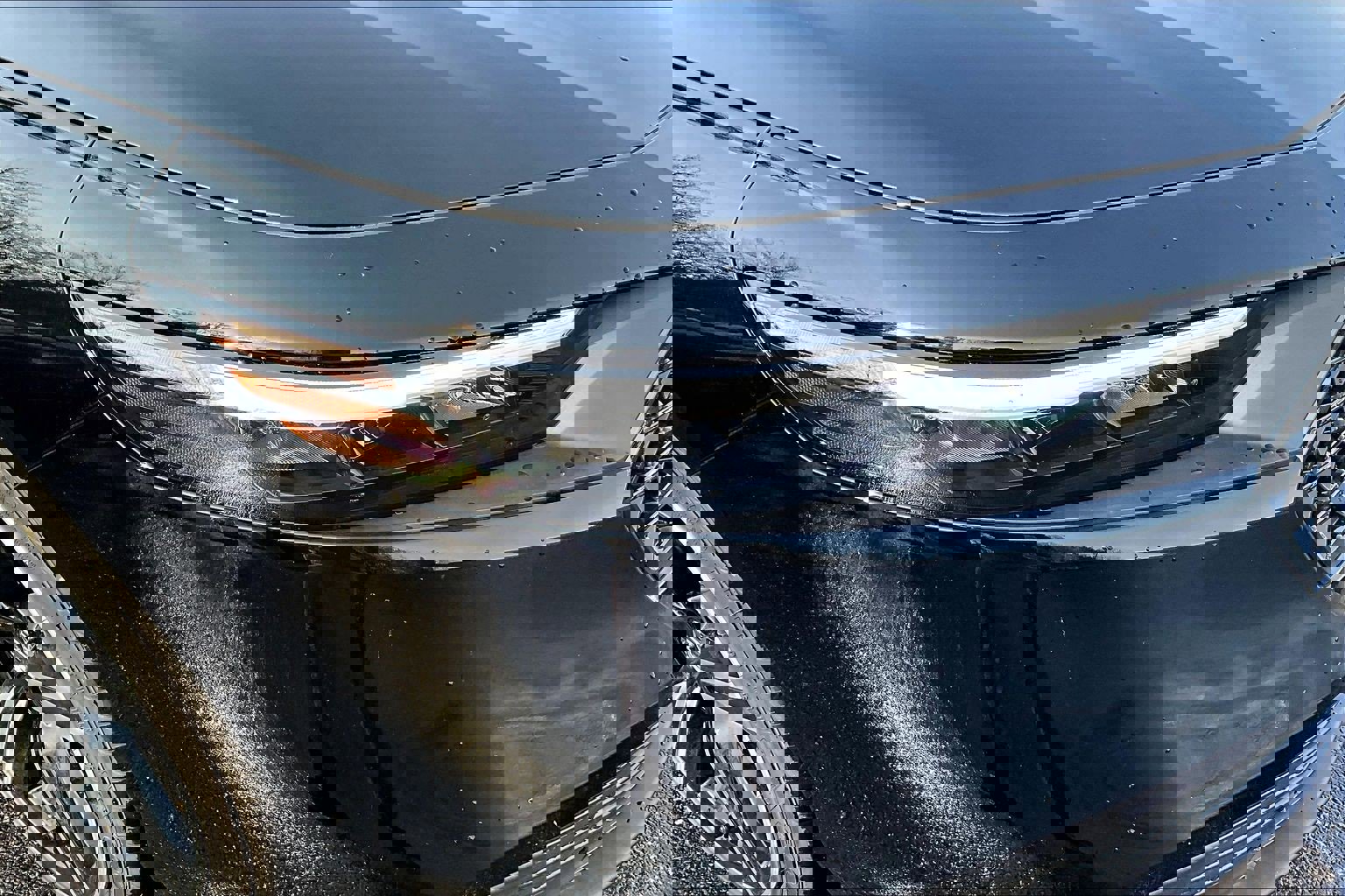 New 2026 Honda Accord Sport image 8