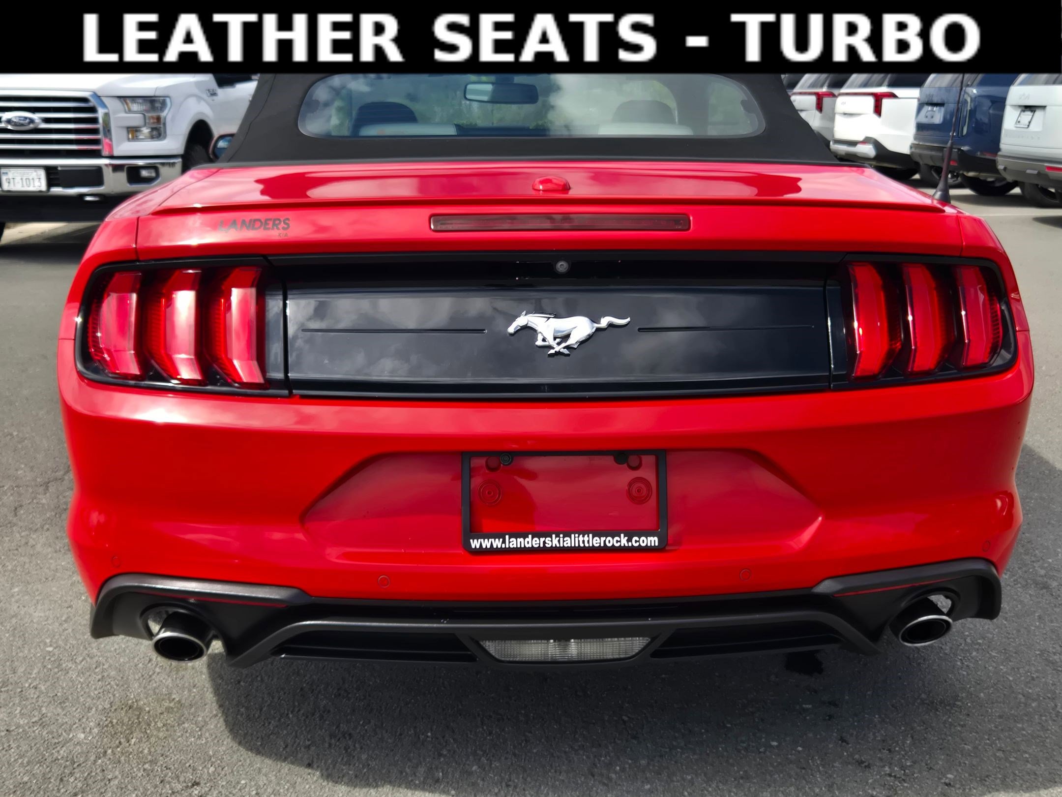 Used 2019 Ford Mustang Premium image 6