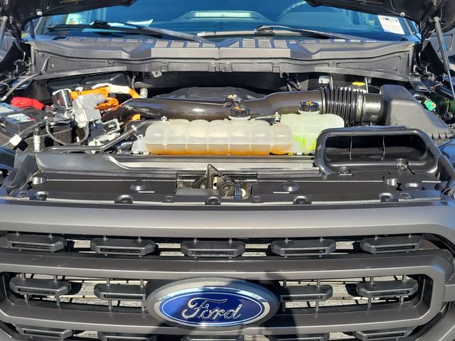 Certified 2023 Ford F150 XLT w/ Equipment Group 302A High AWD/4WD image 28