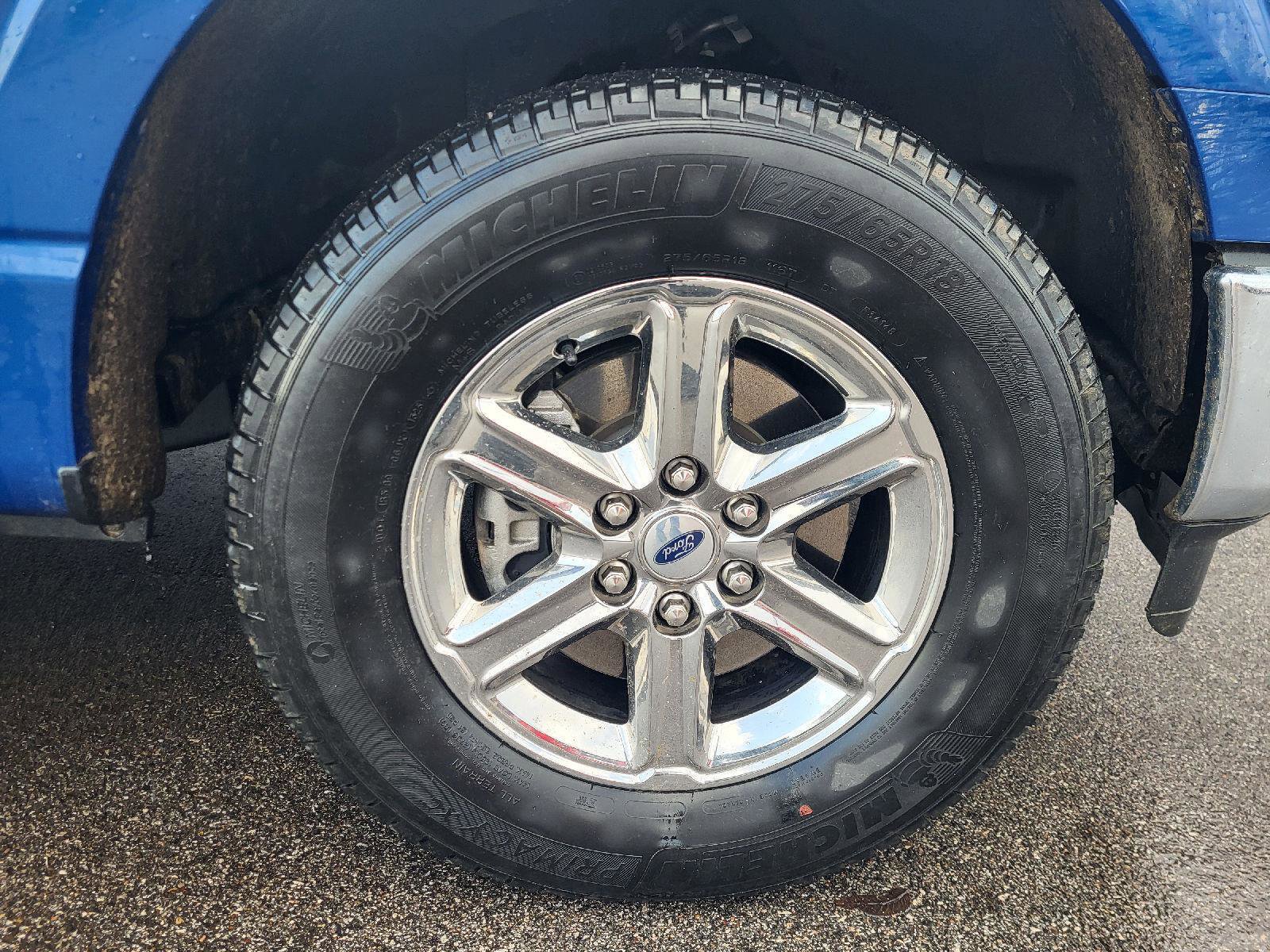 Used 2025 Ford F150 XLT w/ Equipment Group 301A Standard image 14