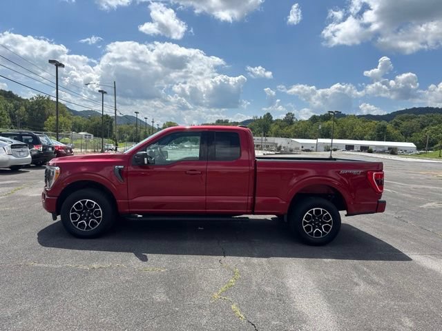 Used 2021 Ford F150 XLT w/ Equipment Group 302A High AWD/4WD image 5