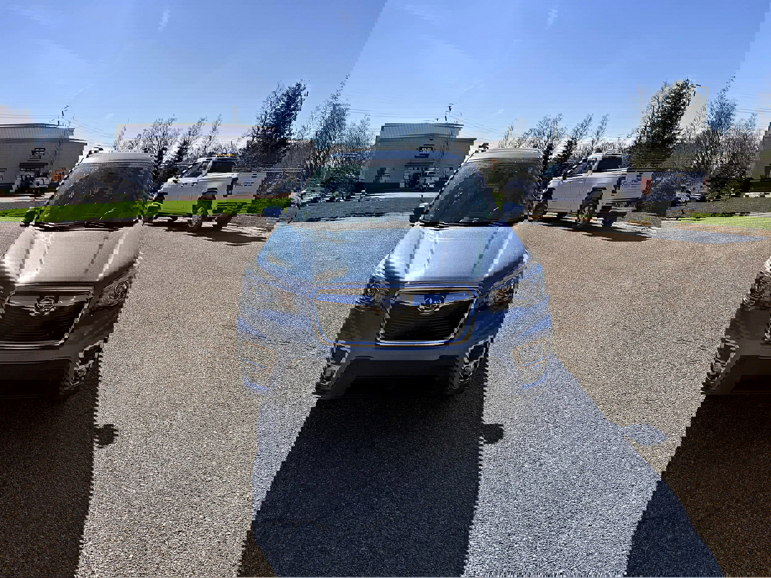 Used 2020 Subaru Forester Limited image 4