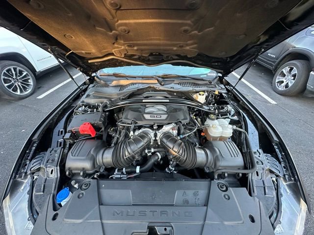 Used 2024 Ford Mustang GT Premium image 17
