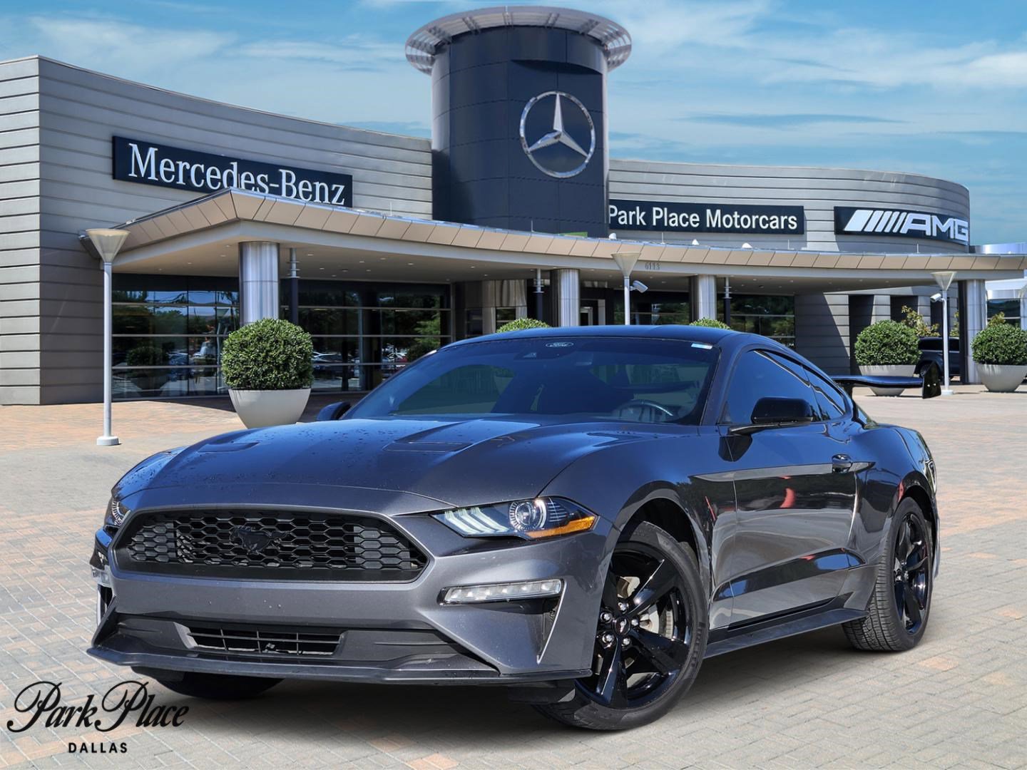 Used 2023 Ford Mustang EcoBoost w/ Equipment Group 101A image 1