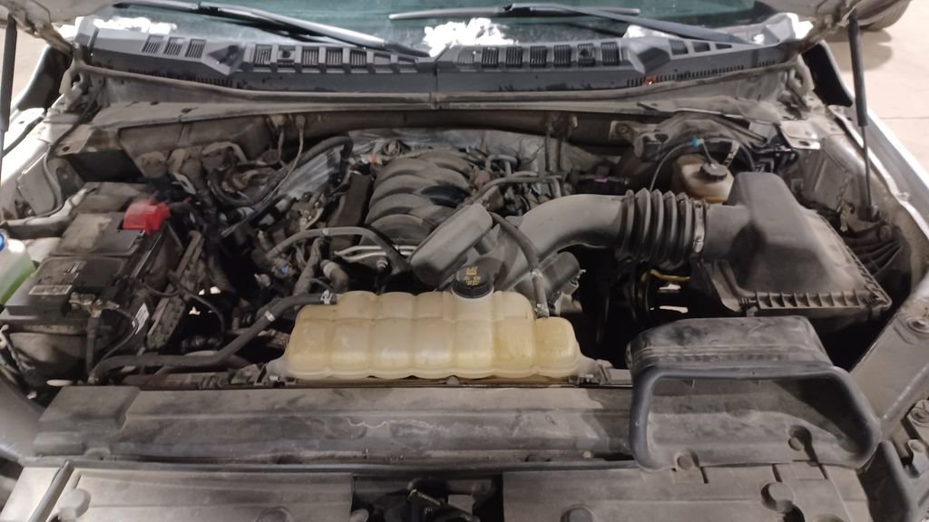 Used 2019 Ford F150 XLT w/ Equipment Group 301A Mid image 9