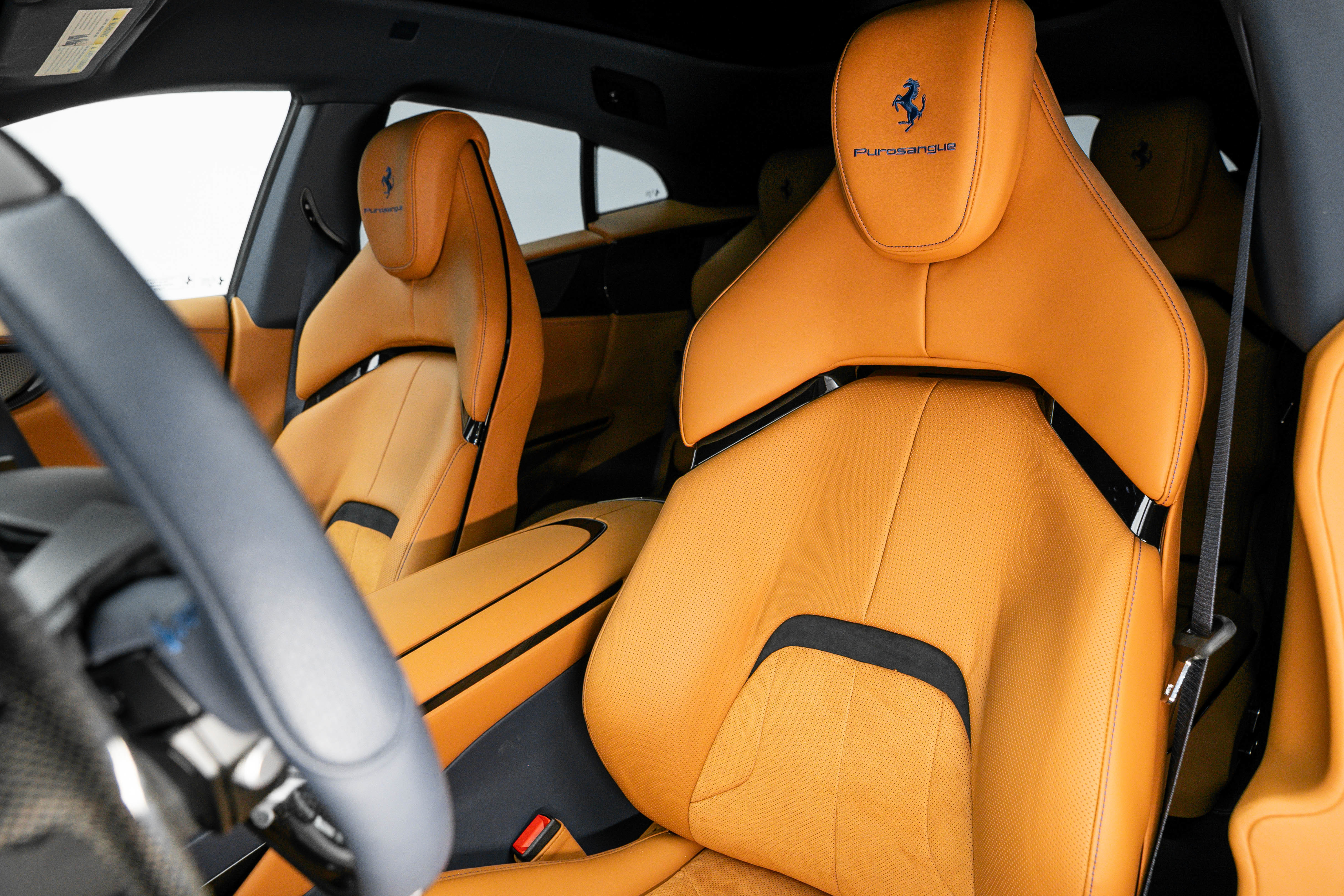 Certified 2024 Ferrari Purosangue image 57