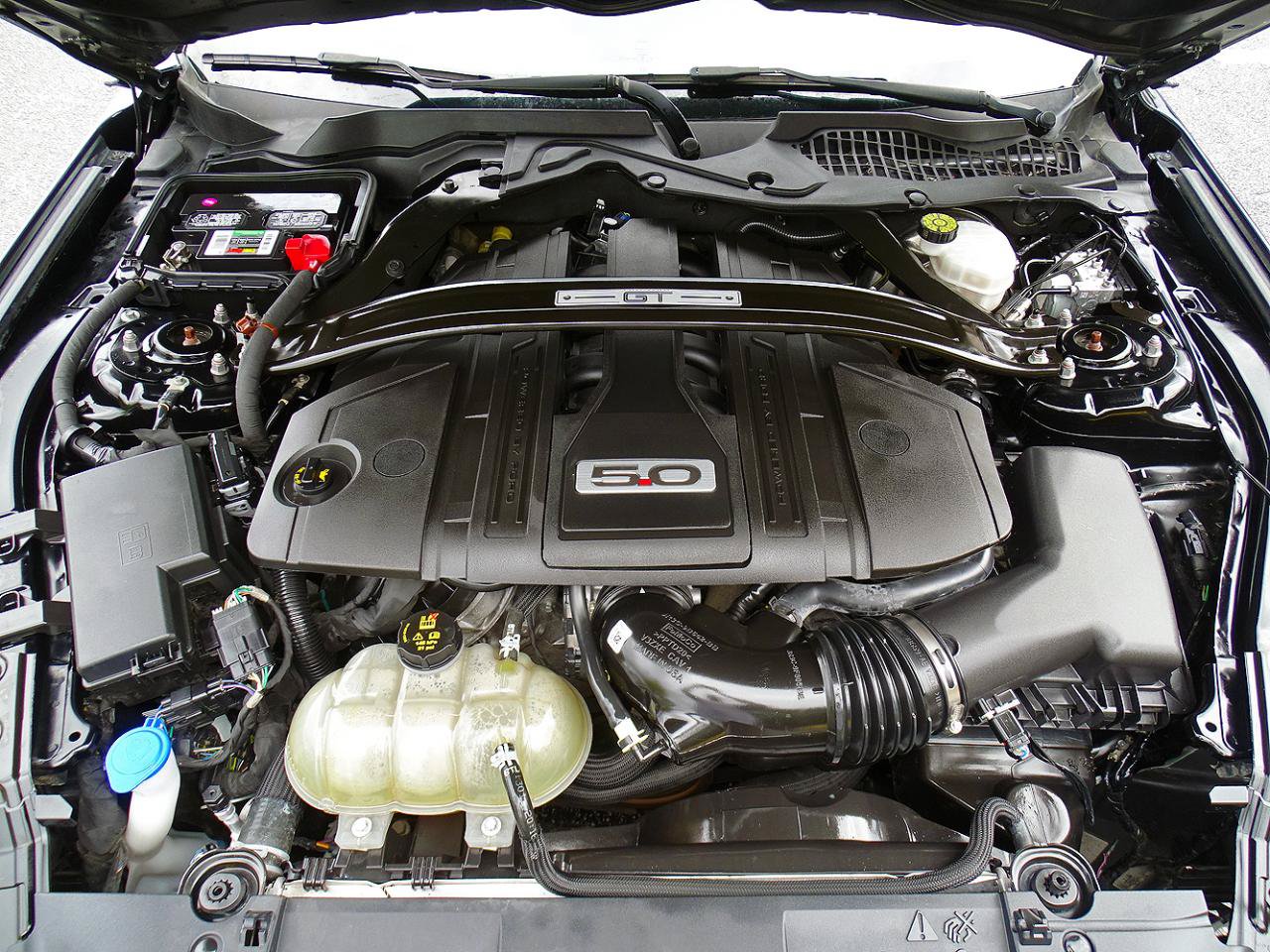 Used 2021 Ford Mustang GT Premium w/ GT Performance Package RWD image 16