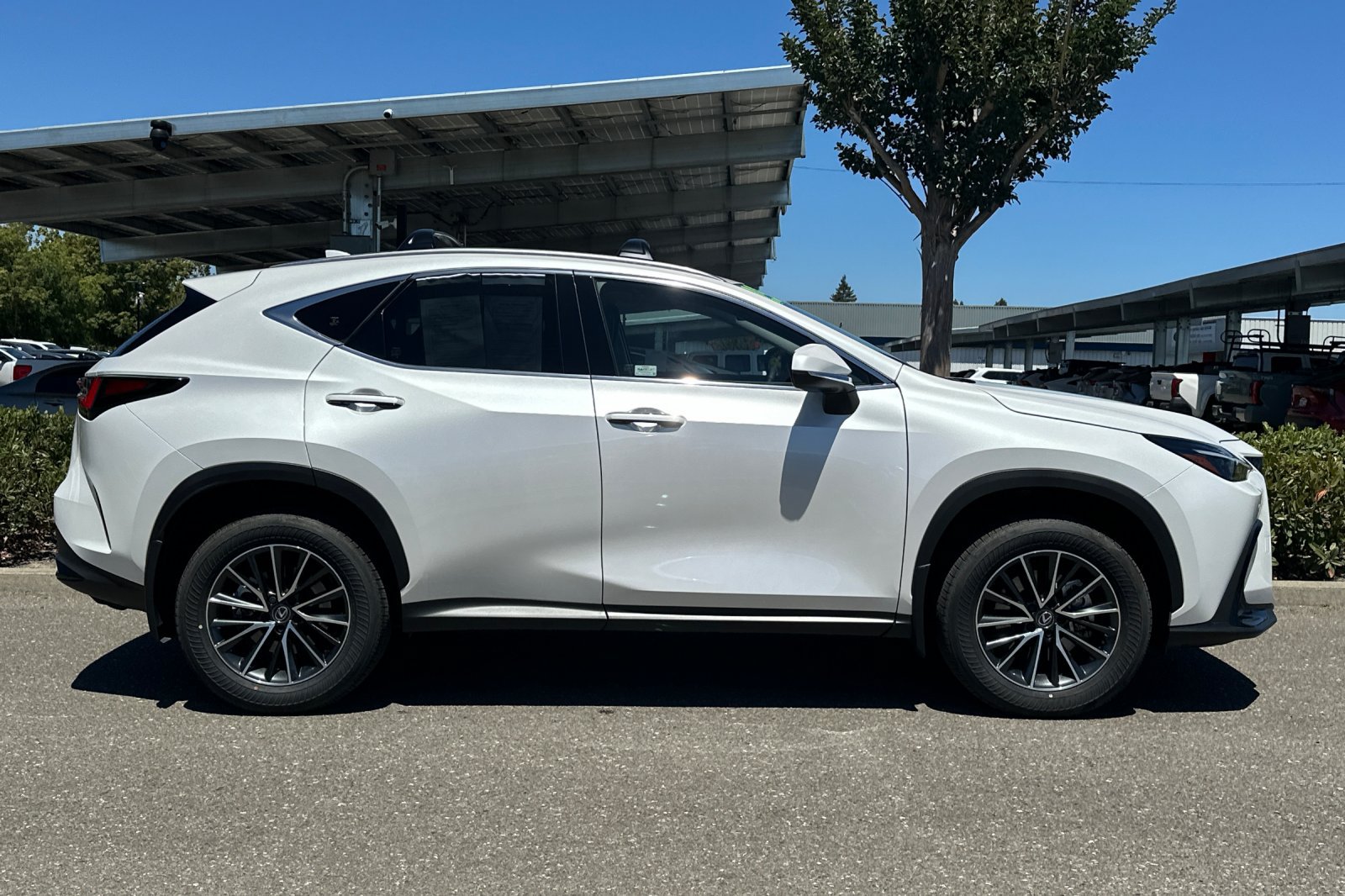 Certified 2025 Lexus NX 350h AWD w/ Premium Package image 3