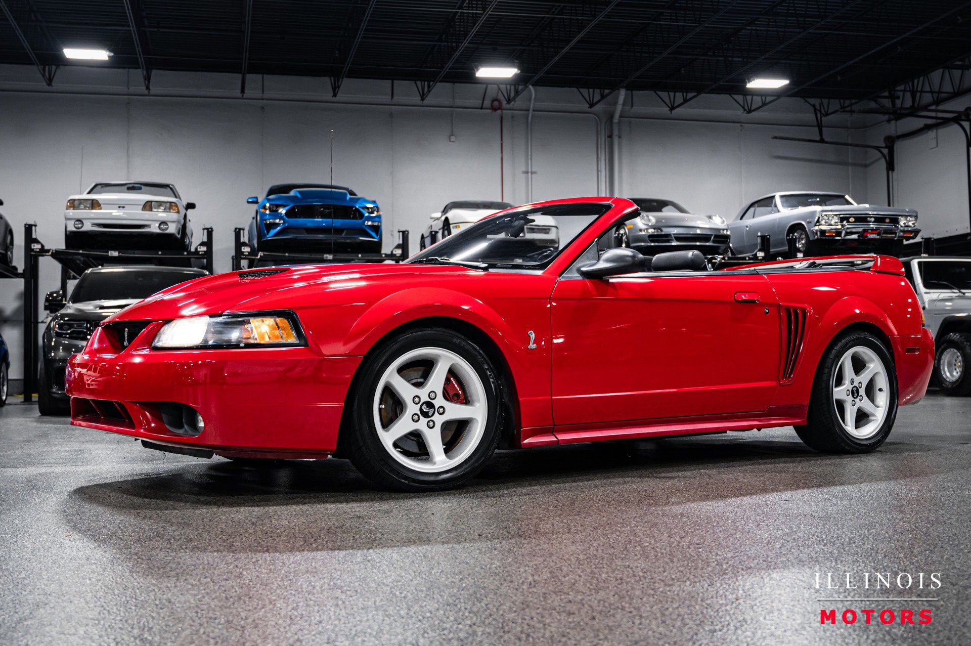 Used 1999 Ford Mustang Cobra