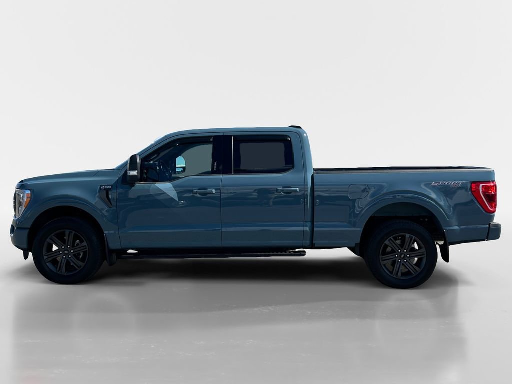 Used 2023 Ford F150 XLT w/ Equipment Group 302A High image 2