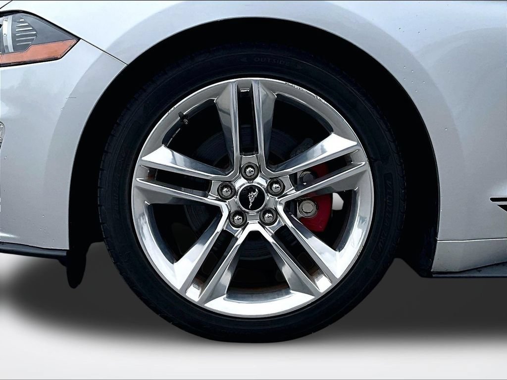 Used 2019 Ford Mustang Premium w/ Equipment Group 201A RWD image 10
