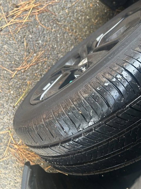 Used 2025 Honda Accord SE image 14