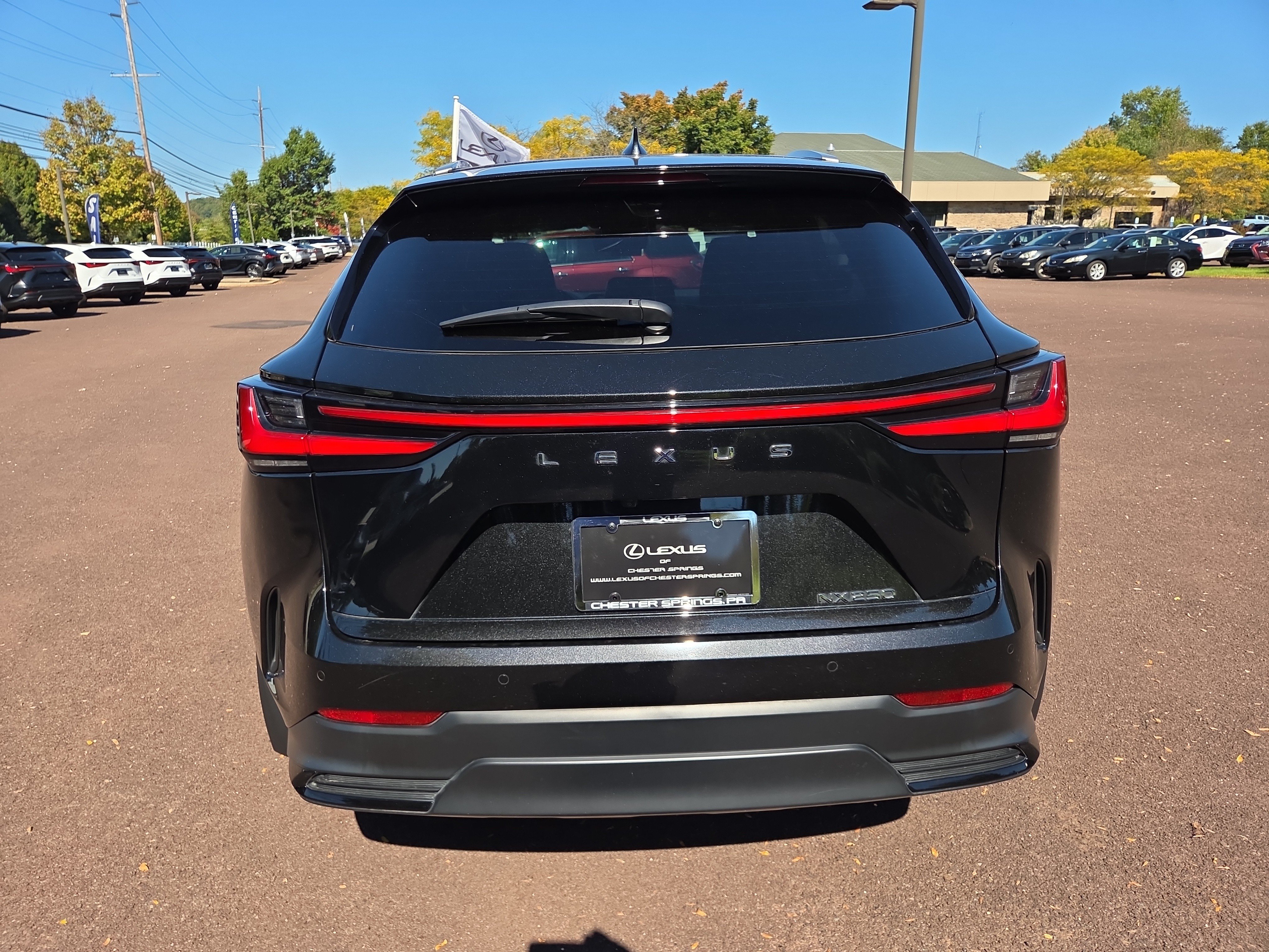 Certified 2024 Lexus NX 250 FWD image 4