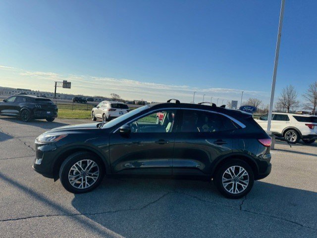 Certified 2022 Ford Escape SEL image 5