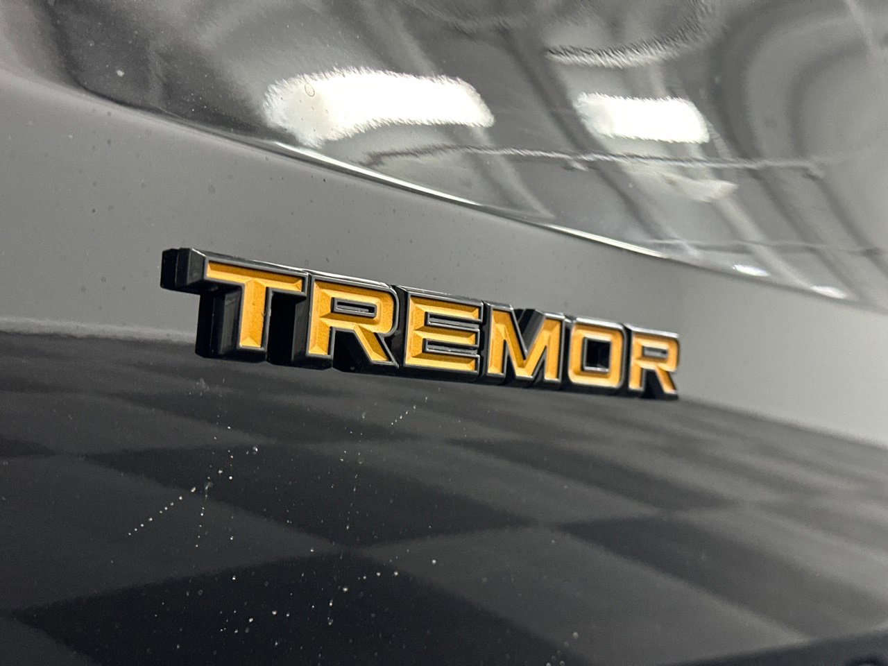 New 2025 Ford Expedition Tremor image 22