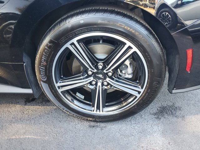 Used 2025 Ford Mustang Premium image 7