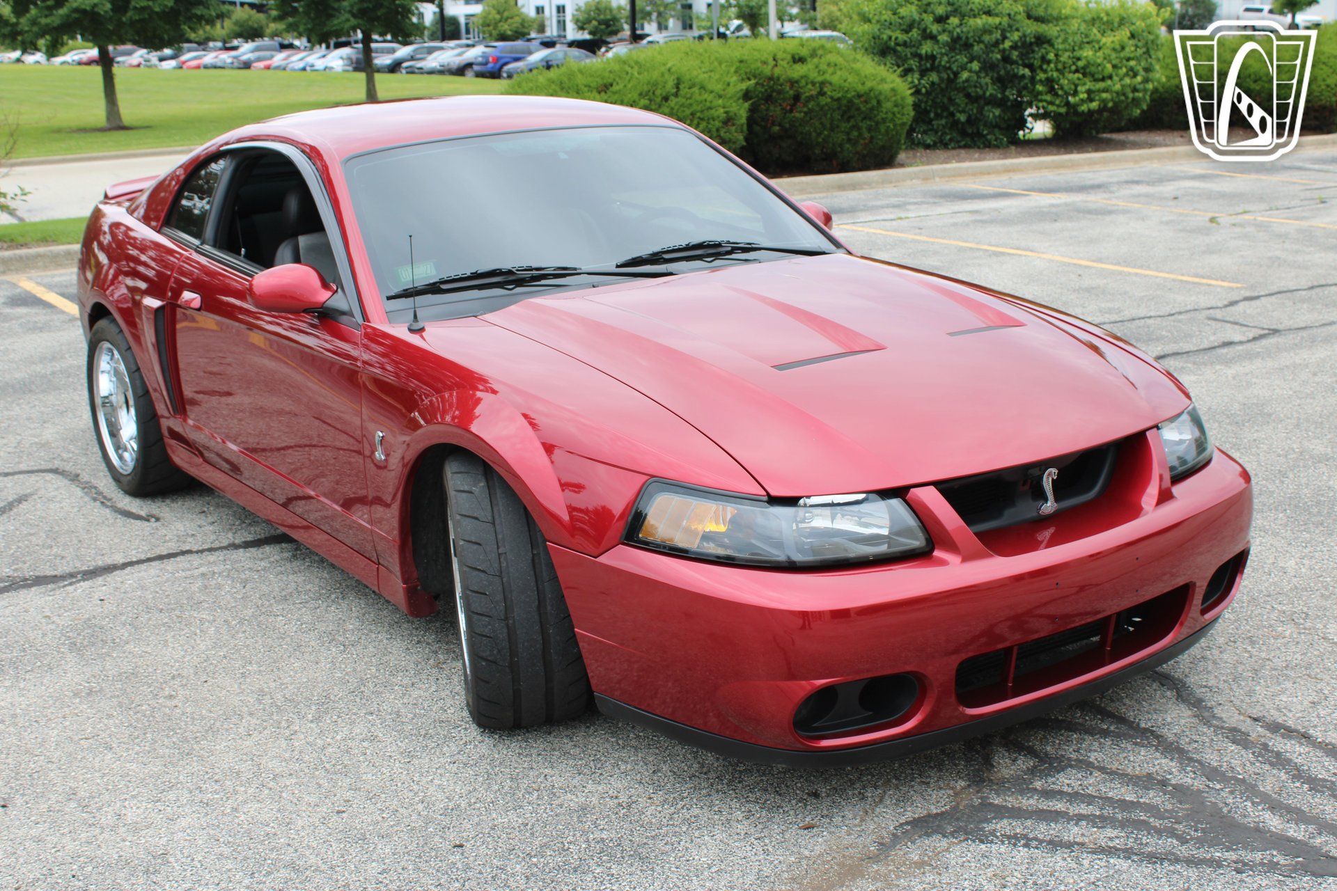 Used 2003 Ford Mustang Cobra RWD image 2