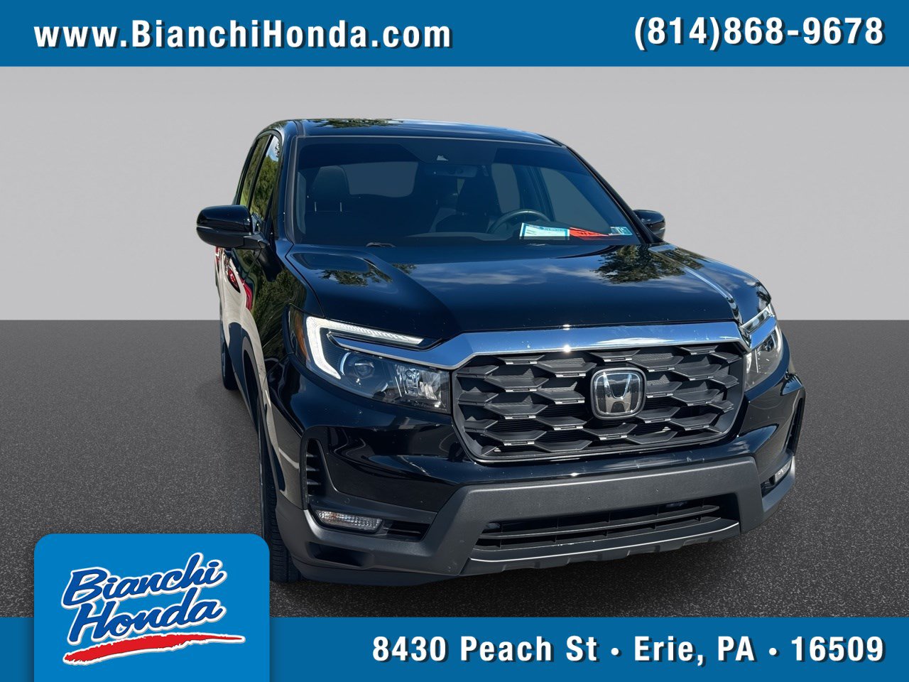 Used 2024 Honda Passport EX-L image 1