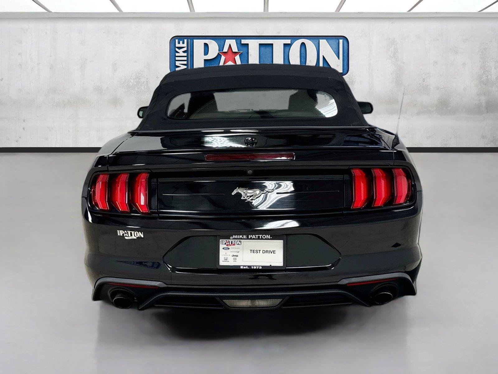 Used 2019 Ford Mustang Premium w/ Equipment Group 201A RWD image 6
