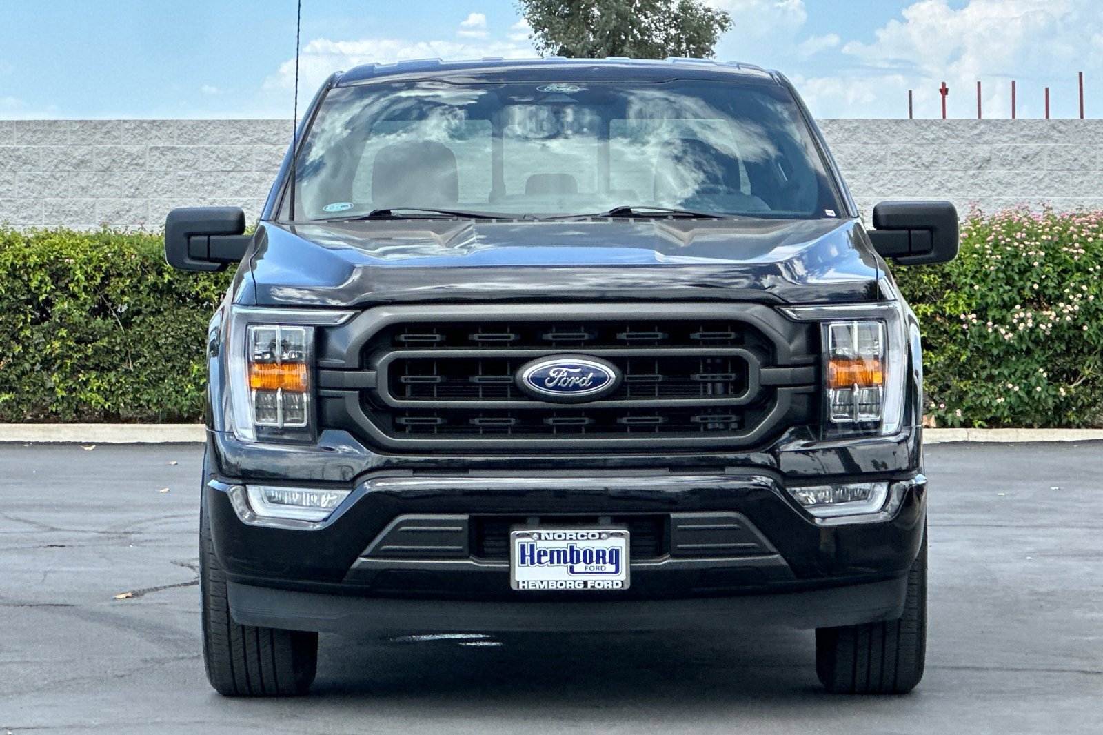 Used 2022 Ford F150 XLT w/ Equipment Group 302A High image 9