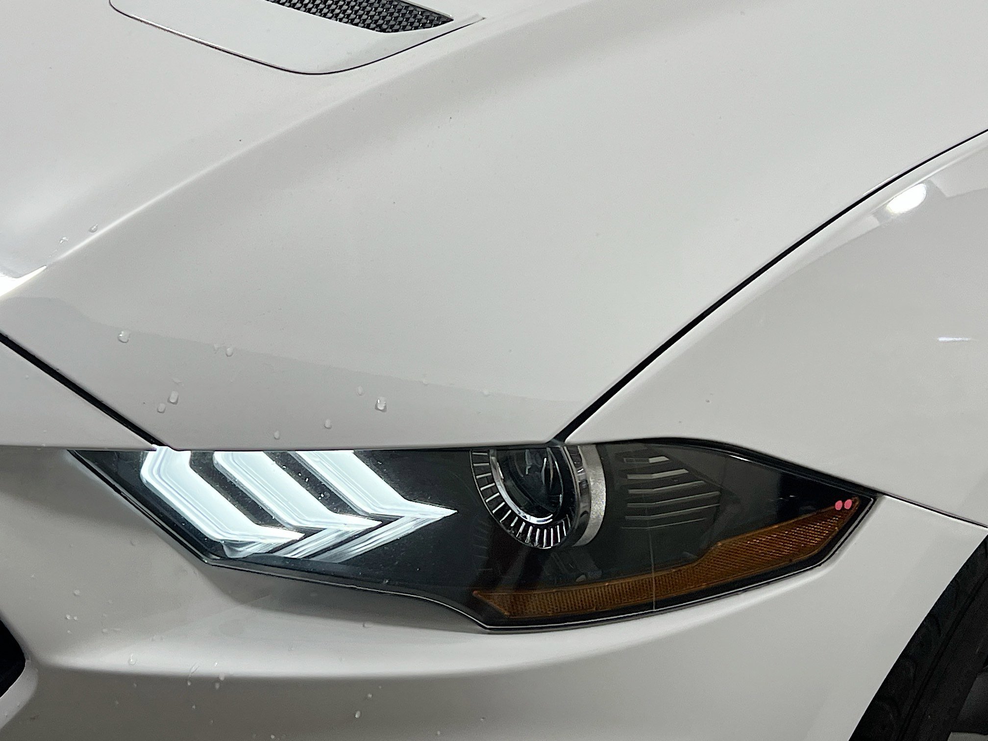 Used 2021 Ford Mustang EcoBoost image 11