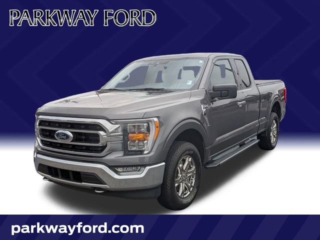 Used 2021 Ford F150 XLT w/ Equipment Group 302A High image 1