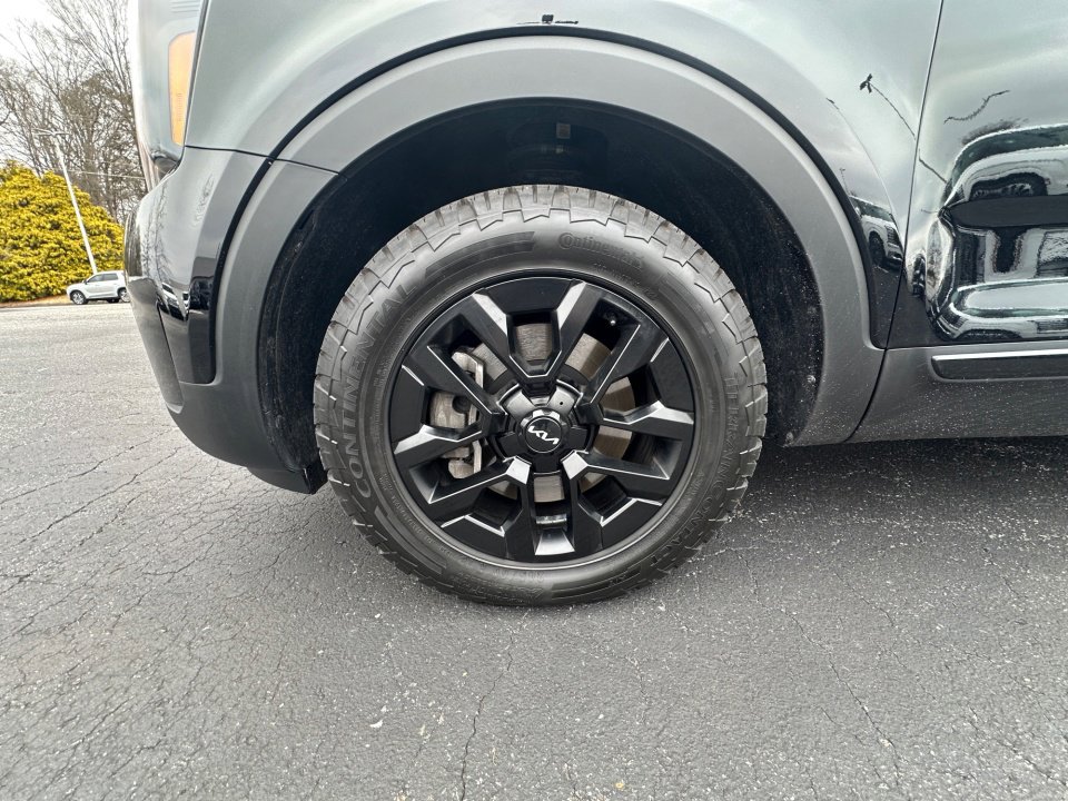 Used 2024 Kia Telluride SX Prestige X-Pro image 31