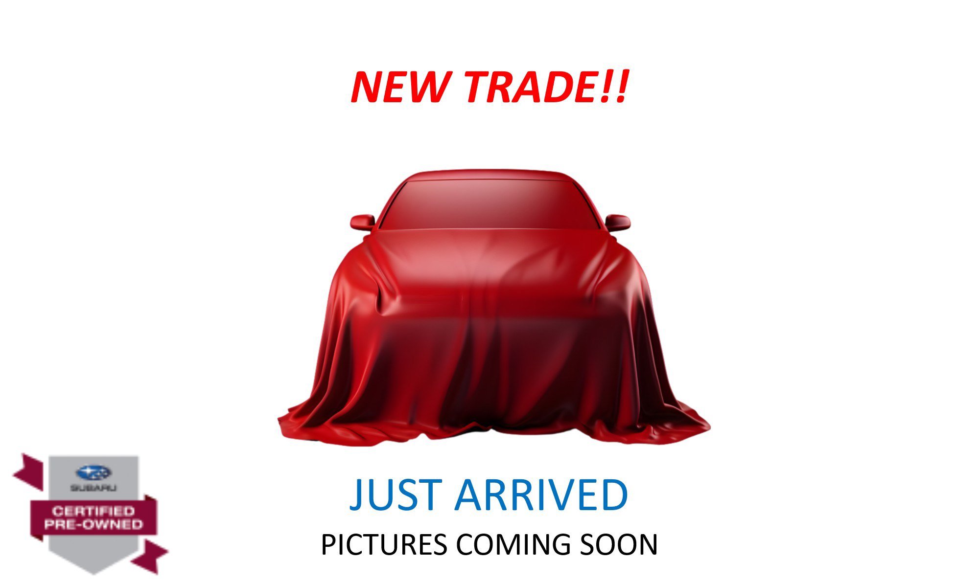 Used 2024 Subaru Outback Premium