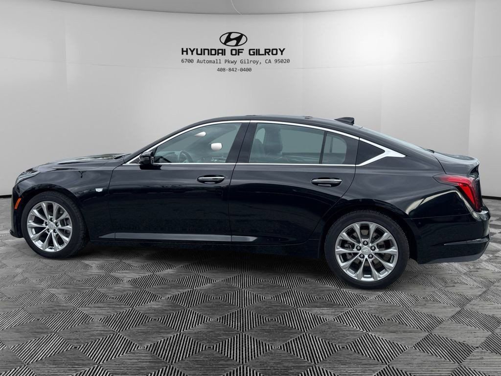 Used 2024 Cadillac CT5 Premium Luxury w/ Climate Package image 8