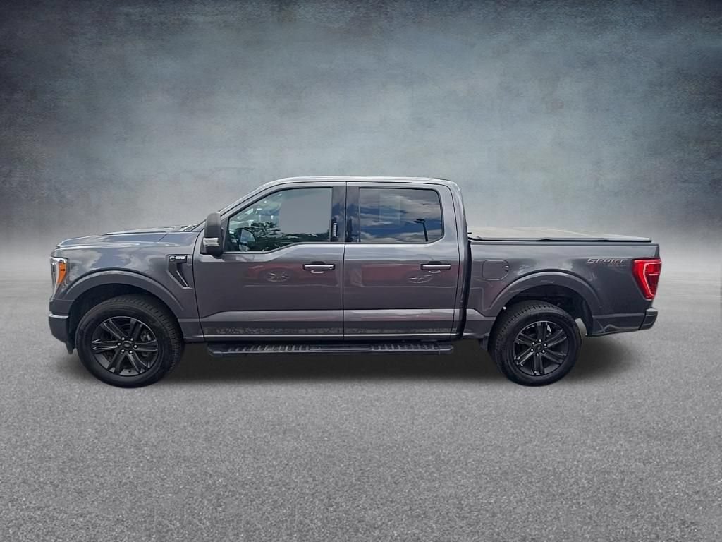 Used 2023 Ford F150 XLT w/ Equipment Group 302A High AWD/4WD image 5