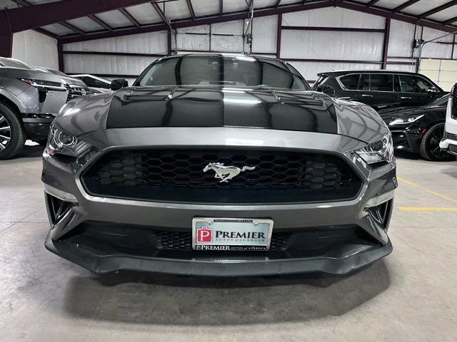 Used 2023 Ford Mustang GT w/ Equipment Group 301A RWD image 7